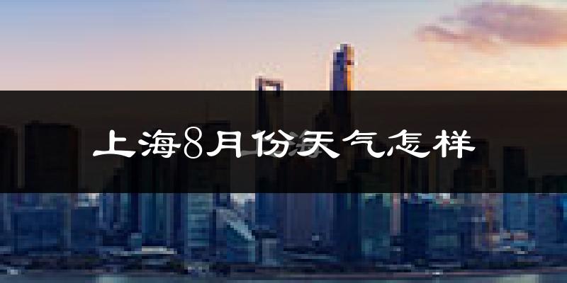 上海8月份天气如何?很热吗?