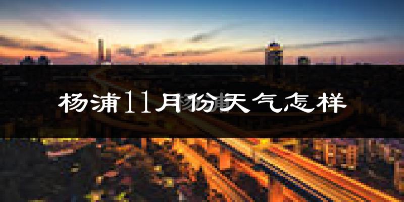 杨浦11月份天气怎样?杨浦十一月冷吗?