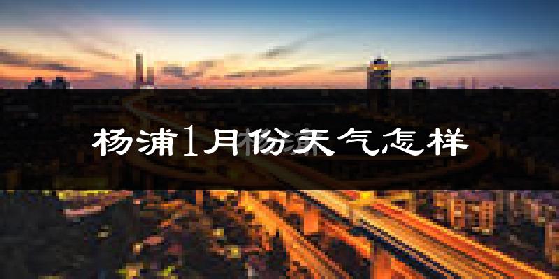 杨浦1月份天气怎样?杨浦一月冷不冷?