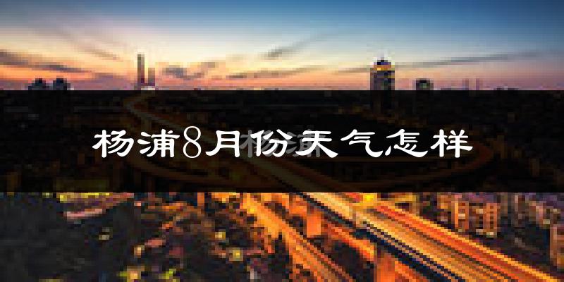 杨浦8月份天气怎样?杨浦八月热不热?
