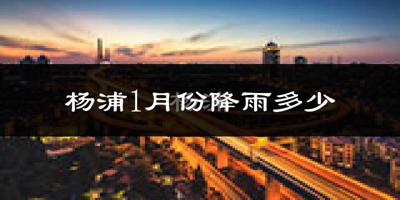 杨浦1月份降雨多少?