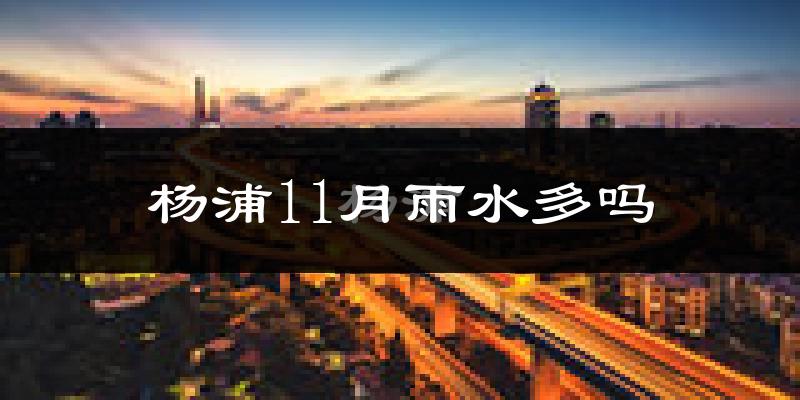 杨浦11月雨水多吗?