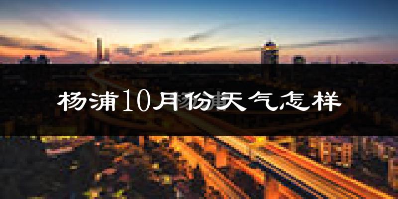 杨浦10月份天气怎样?杨浦十月冷不冷?