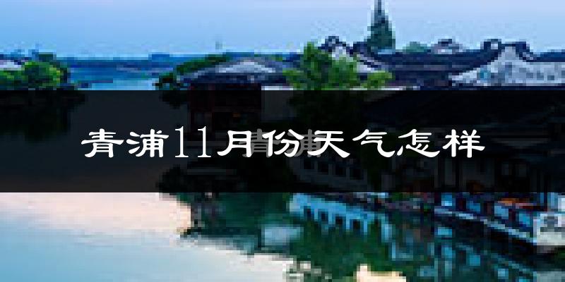 青浦11月份天气怎样?青浦十一月冷吗?