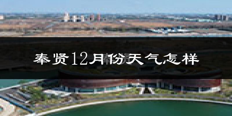 奉贤12月份天气怎样?奉贤十二月冷吗?