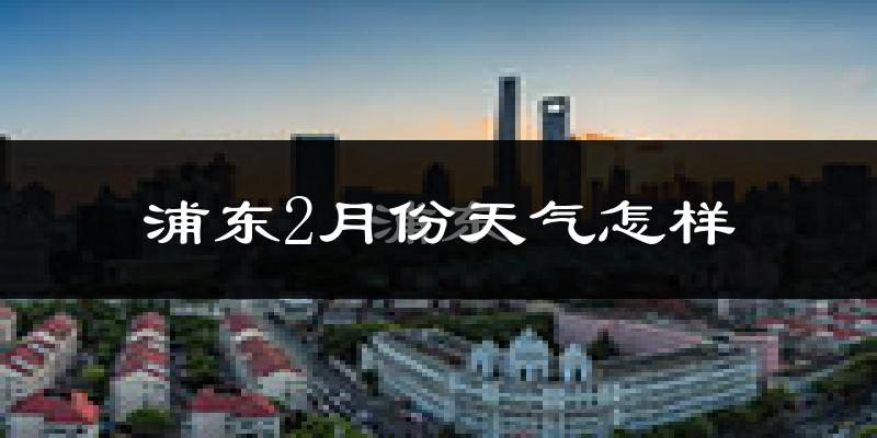 浦东2月份天气怎样?浦东二月冷吗?
