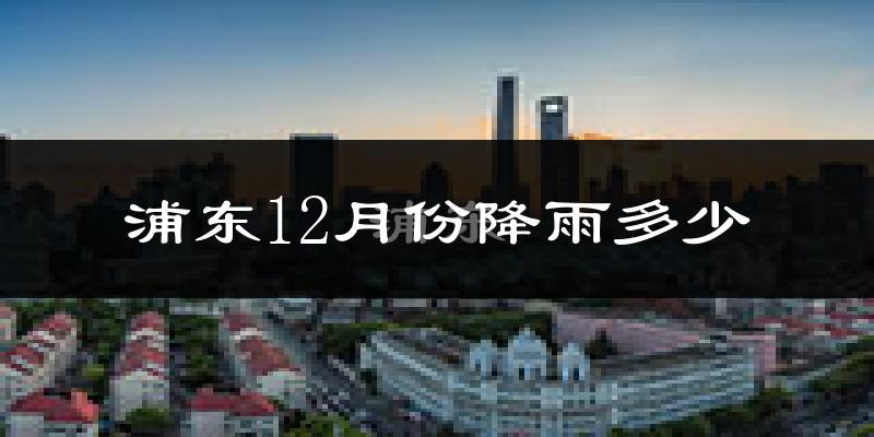 浦东12月份降雨多少?