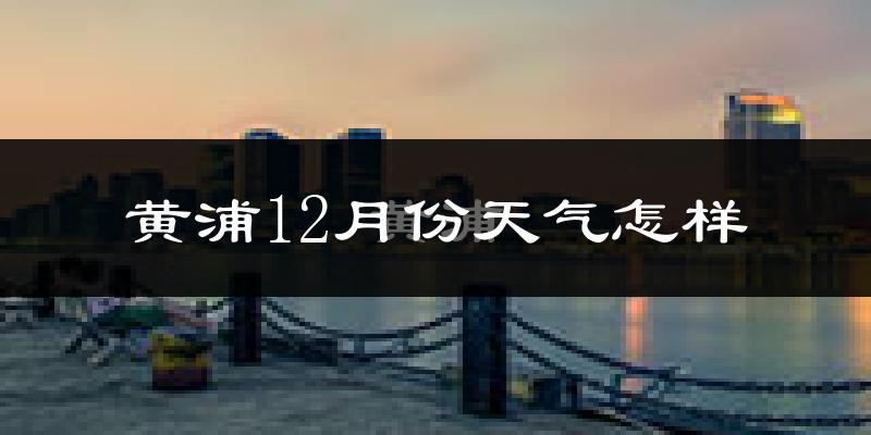 黄浦12月份天气怎样?黄浦十二月冷吗?
