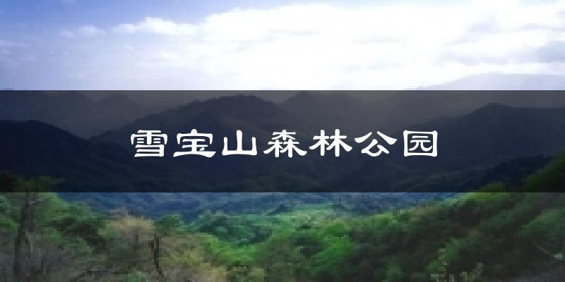 雪宝山森林公园天气预报十五天