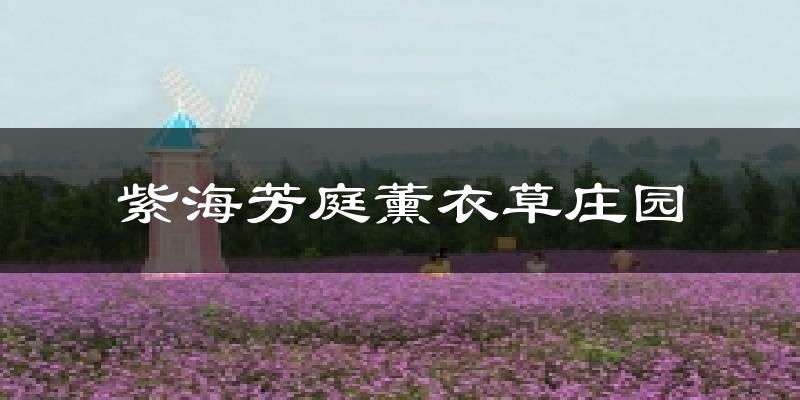 紫海芳庭薰衣草庄园天气预报十五天