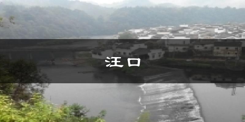 汪口天气预报十五天