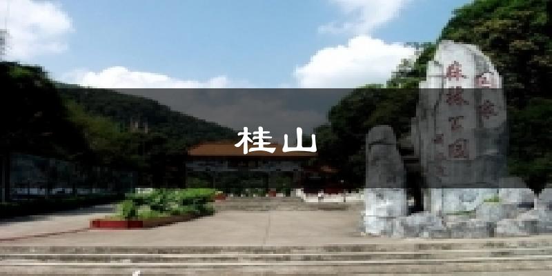 桂山天气预报十五天
