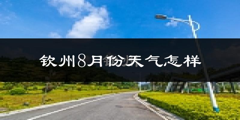 钦州市8月份天气如何?很热吗?
