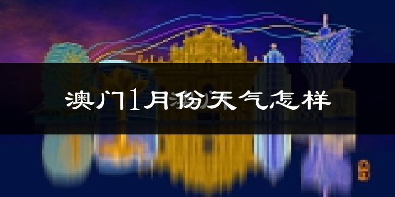 澳门1月份天气如何?很冷吗?